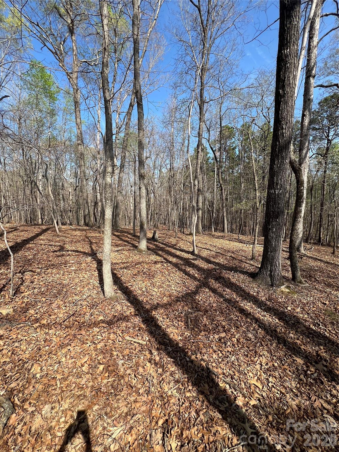 0 Snuggs Park Road Albemarle, NC 28001 - Photo 4 of 4