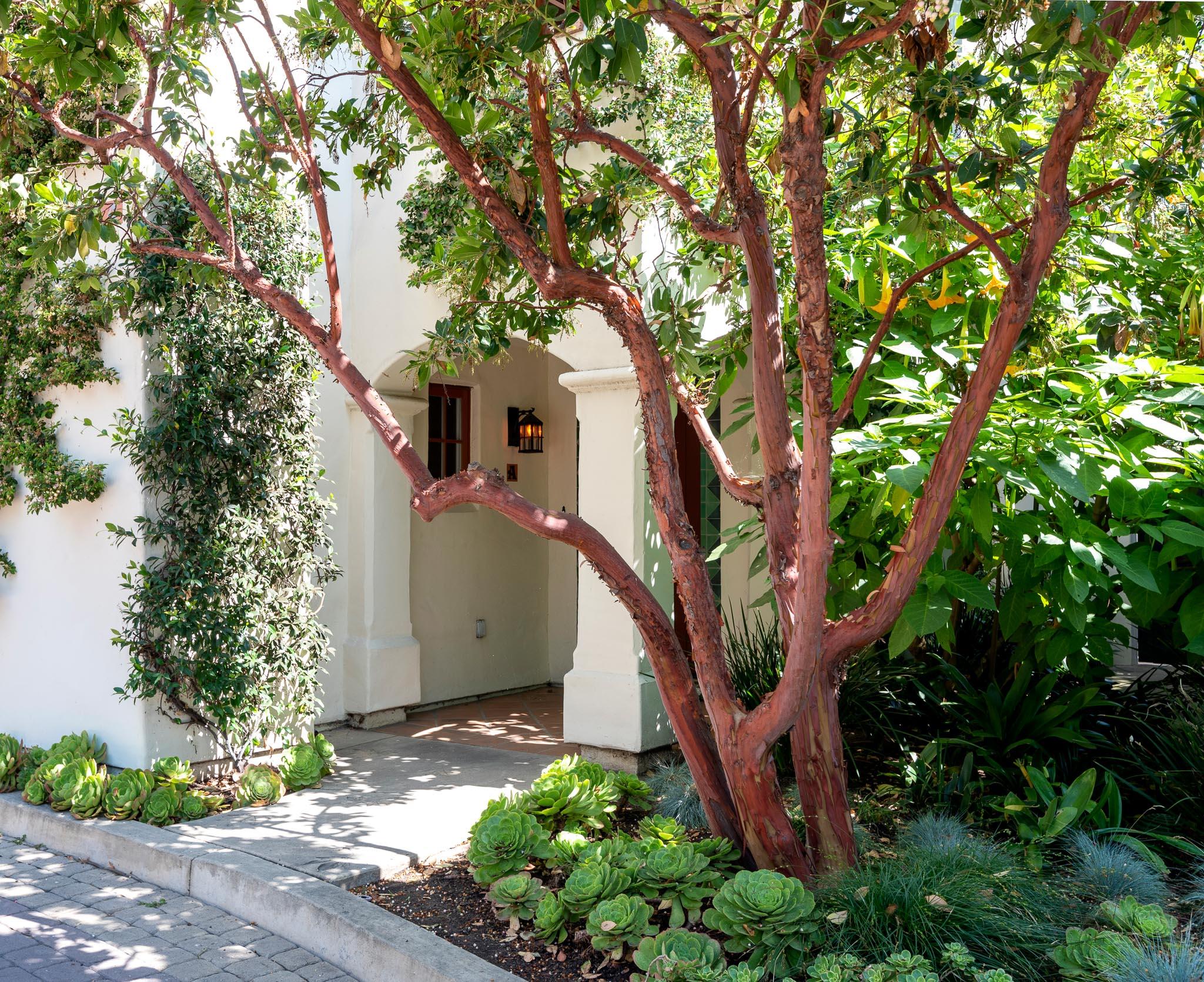 214 Santa Barbara Street, Unit A Santa Barbara, CA 93101 - Photo 17 of 19 Entry