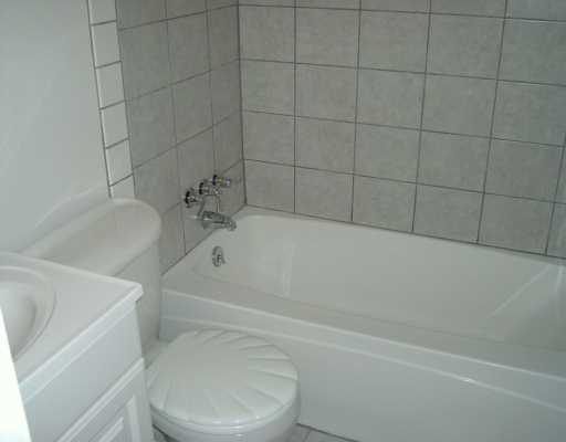 1353 Hamilton Road Castle Shannon, PA 15234 - Photo 7 of 8 Master Bath/Spa.