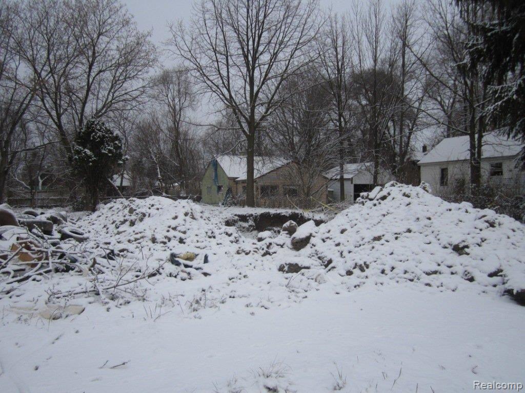 19625 Reno Street Detroit, MI 48205 - Photo 1 of 1 lot