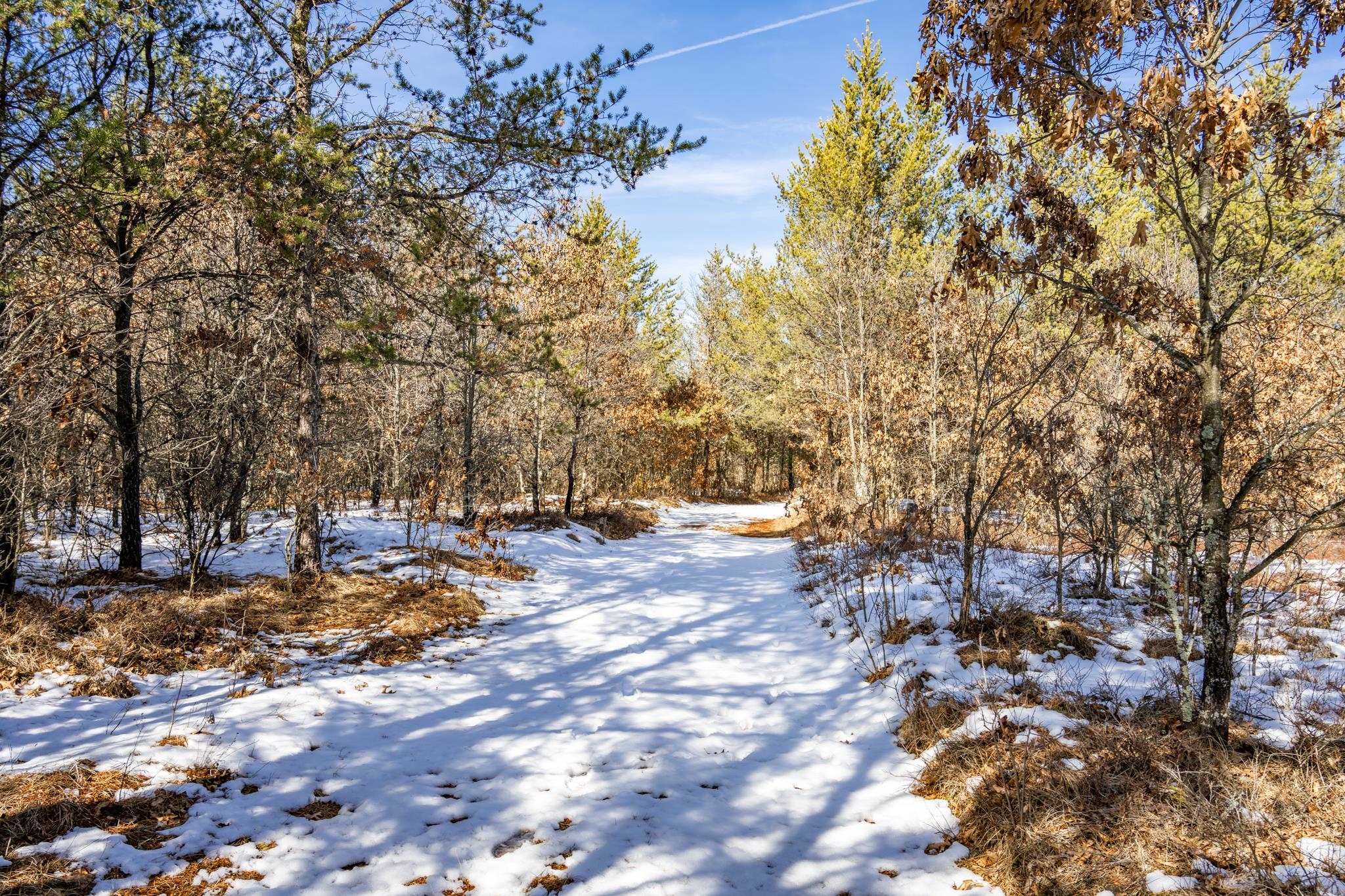 Lot 2 18th Necedah, WI 54646 - Photo 12 of 31