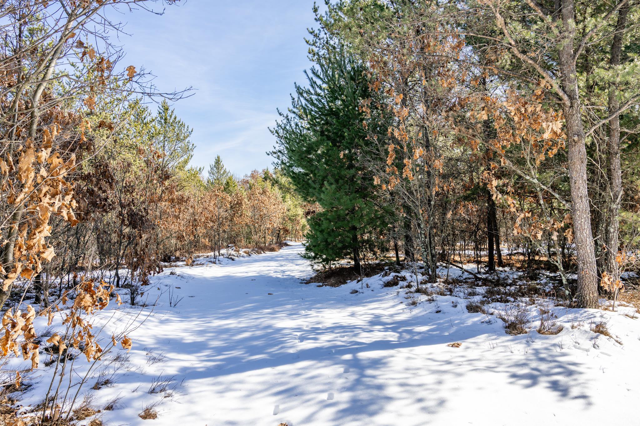 Lot 2 18th Necedah, WI 54646 - Photo 13 of 31