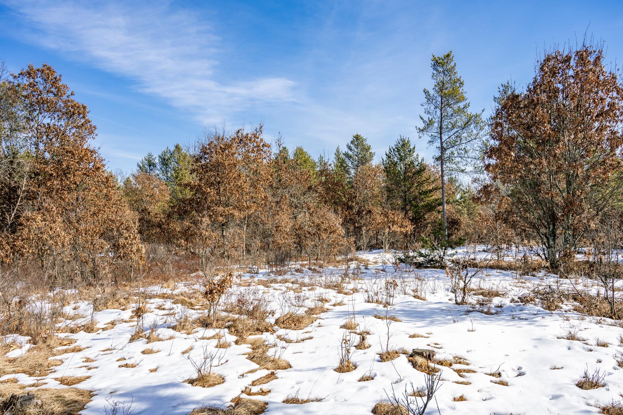 Lot 2 18th Necedah, WI 54646 - Photo 14 of 31