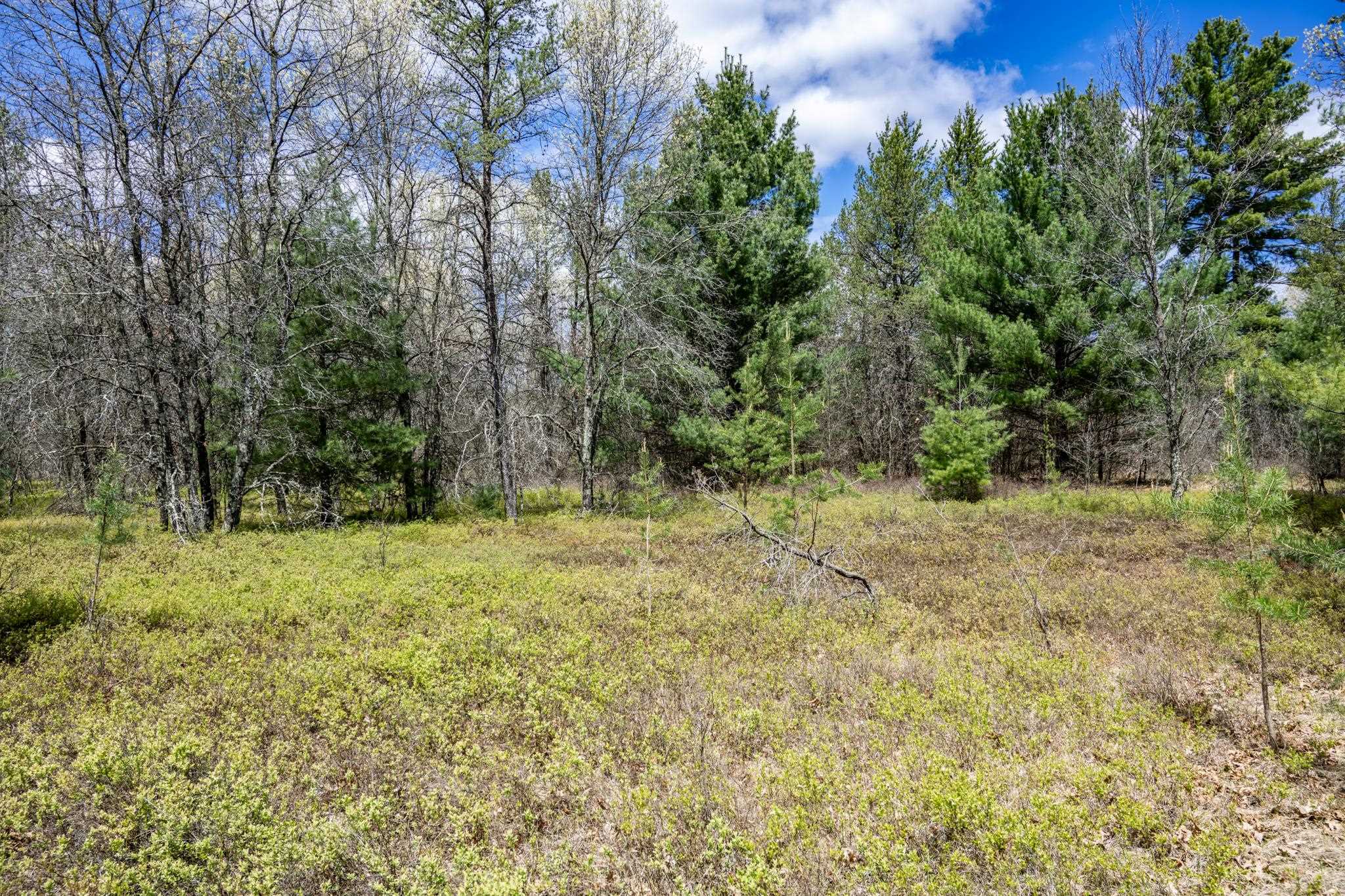 Lot 2 18th Necedah, WI 54646 - Photo 15 of 39