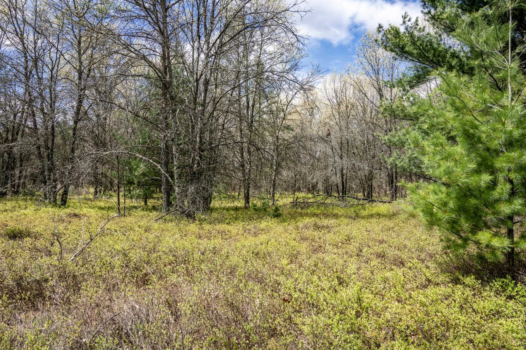 Lot 2 18th Necedah, WI 54646 - Photo 16 of 39