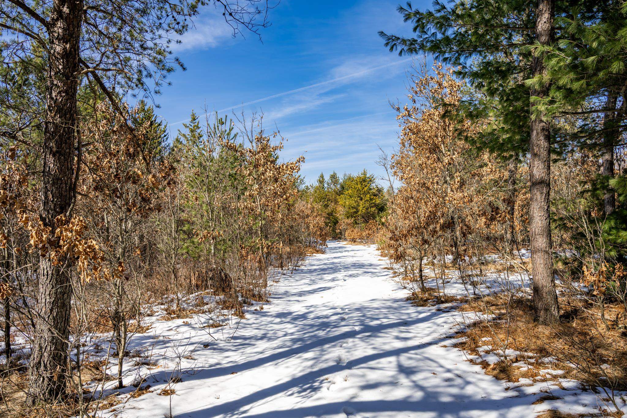 Lot 2 18th Necedah, WI 54646 - Photo 16 of 31