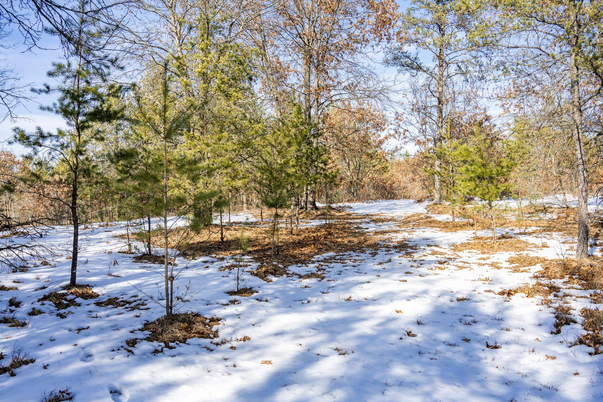 Lot 2 18th Necedah, WI 54646 - Photo 17 of 31