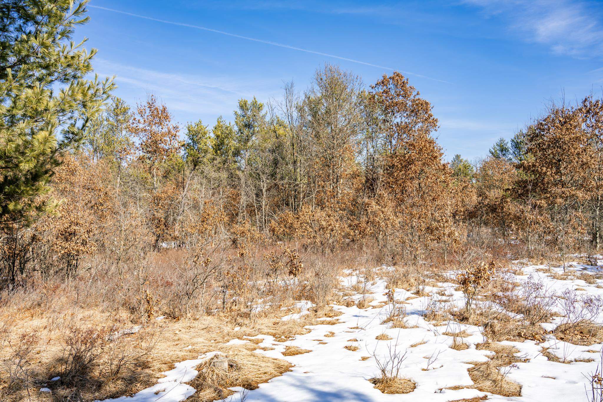 Lot 2 18th Necedah, WI 54646 - Photo 18 of 31