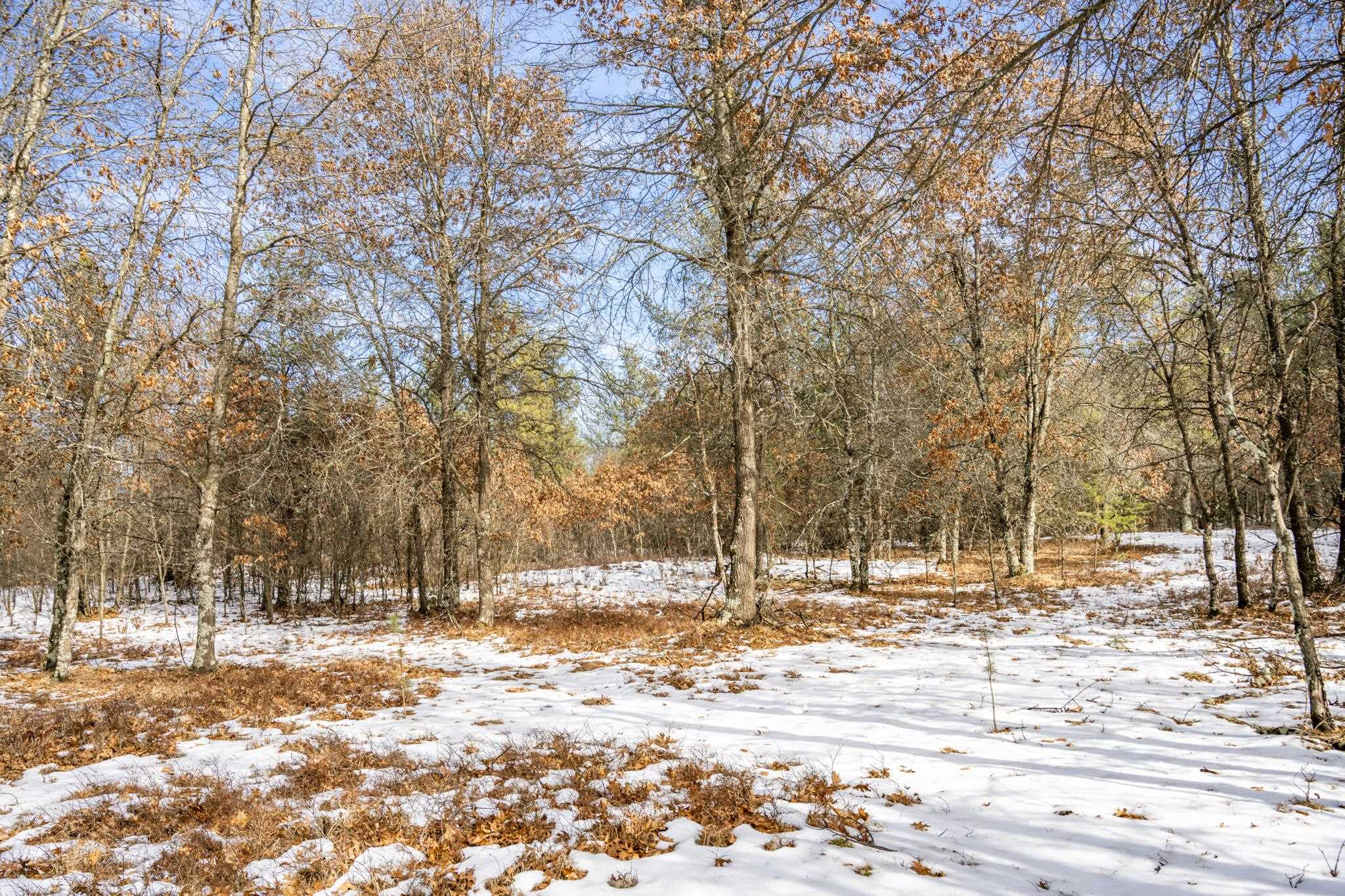 Lot 2 18th Necedah, WI 54646 - Photo 19 of 31