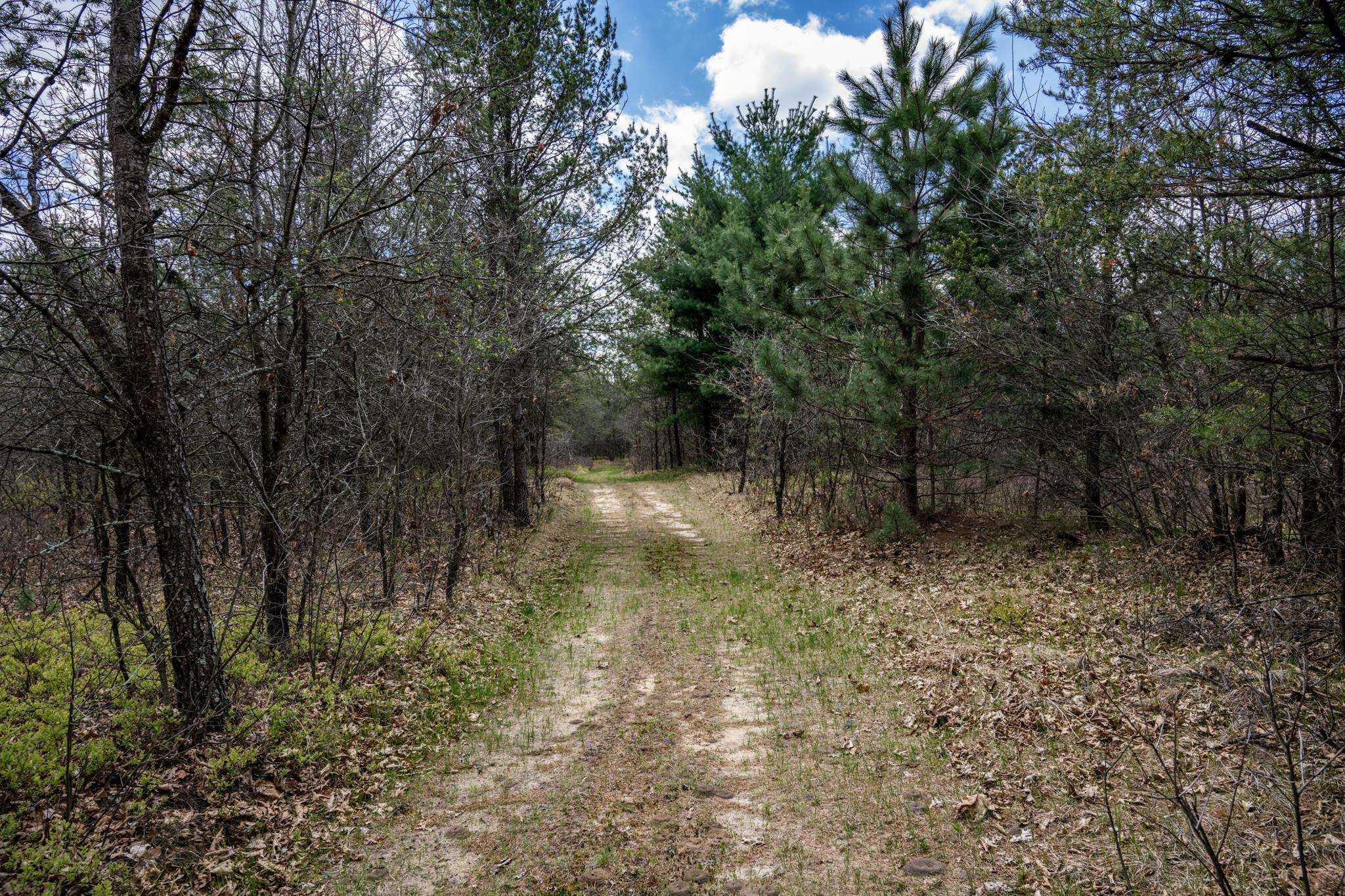 Lot 2 18th Necedah, WI 54646 - Photo 20 of 39