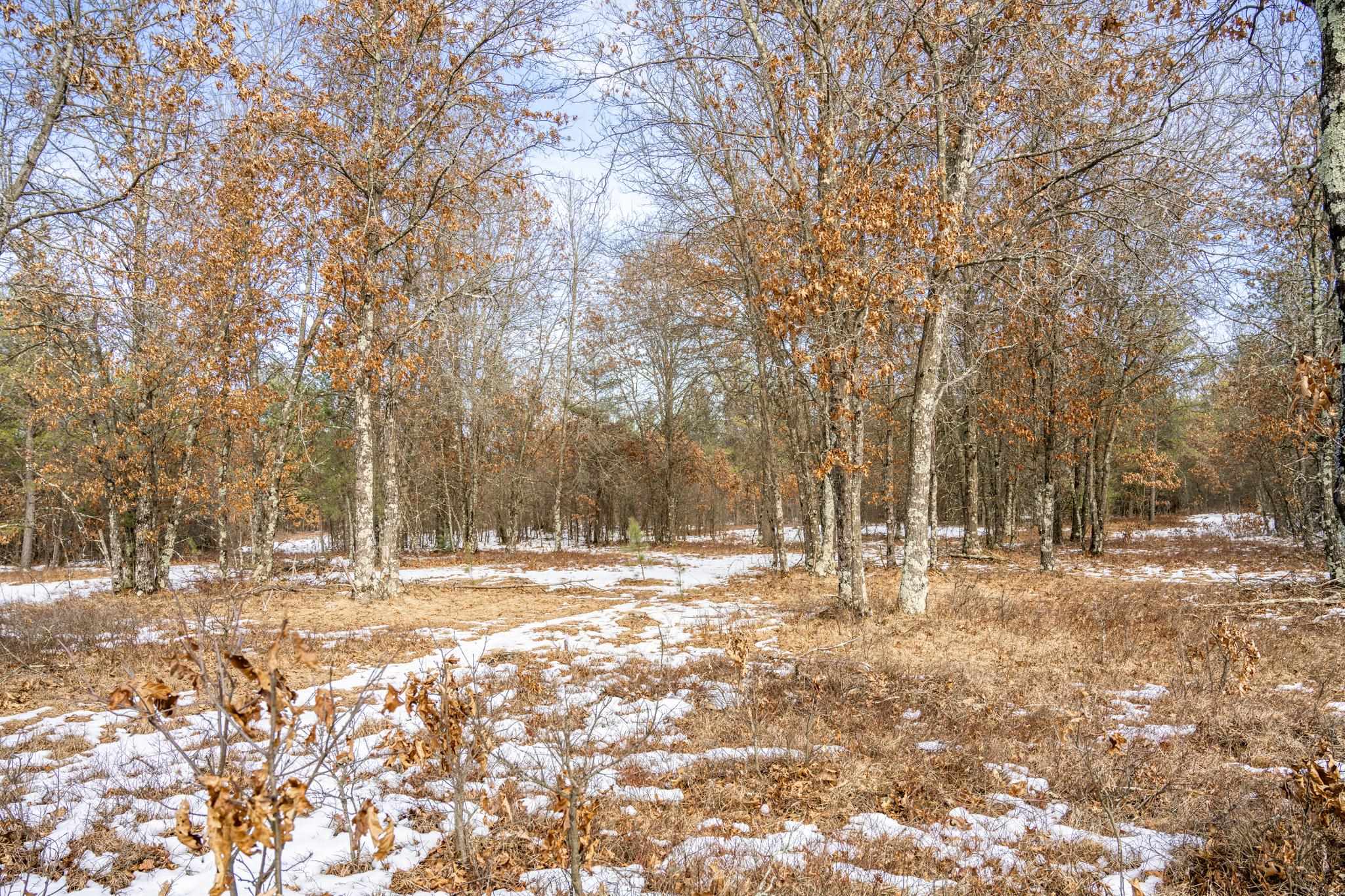 Lot 2 18th Necedah, WI 54646 - Photo 20 of 31