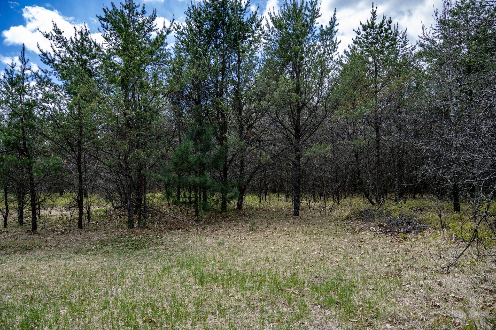 Lot 2 18th Necedah, WI 54646 - Photo 2 of 39