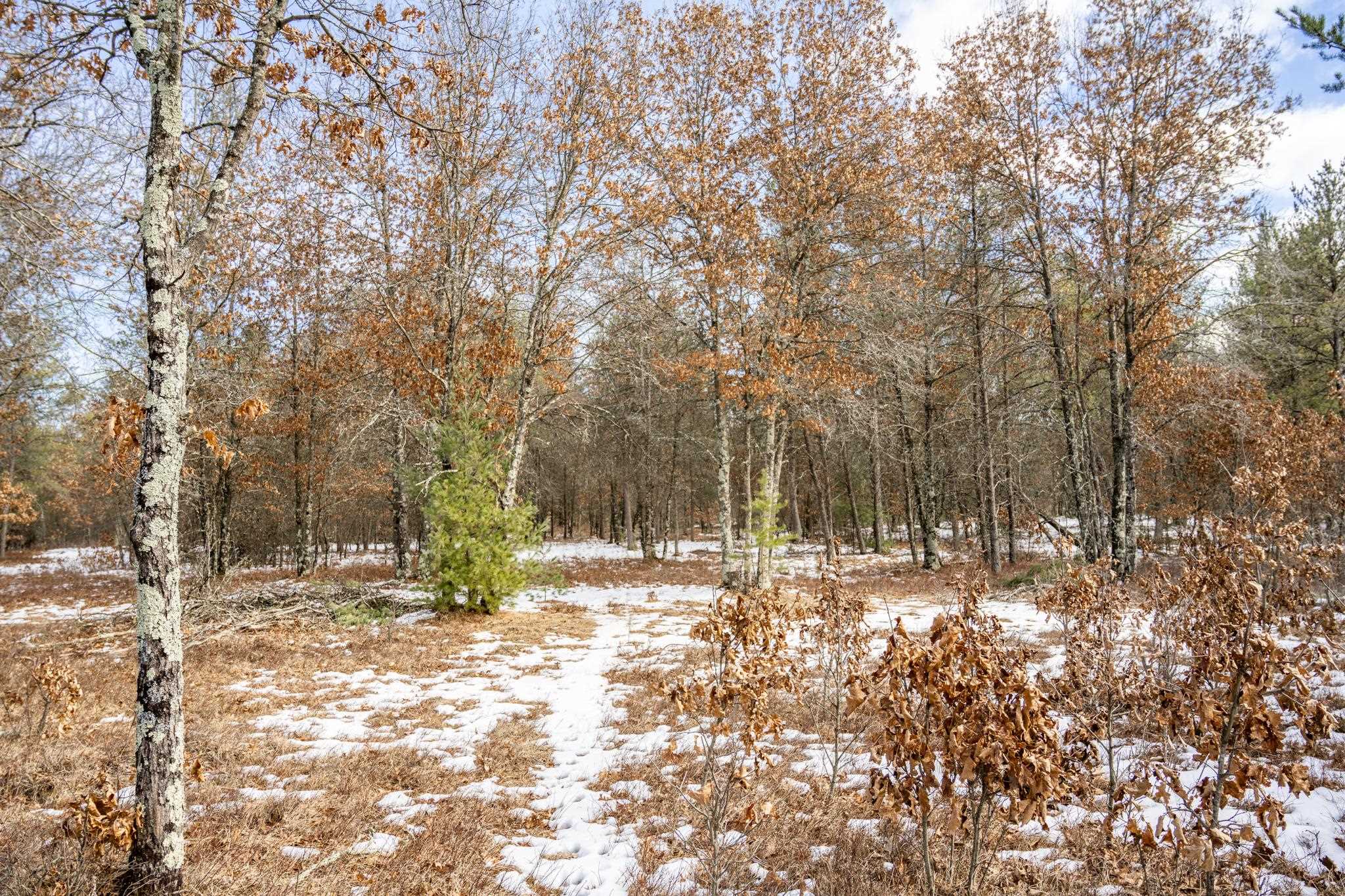 Lot 2 18th Necedah, WI 54646 - Photo 21 of 31