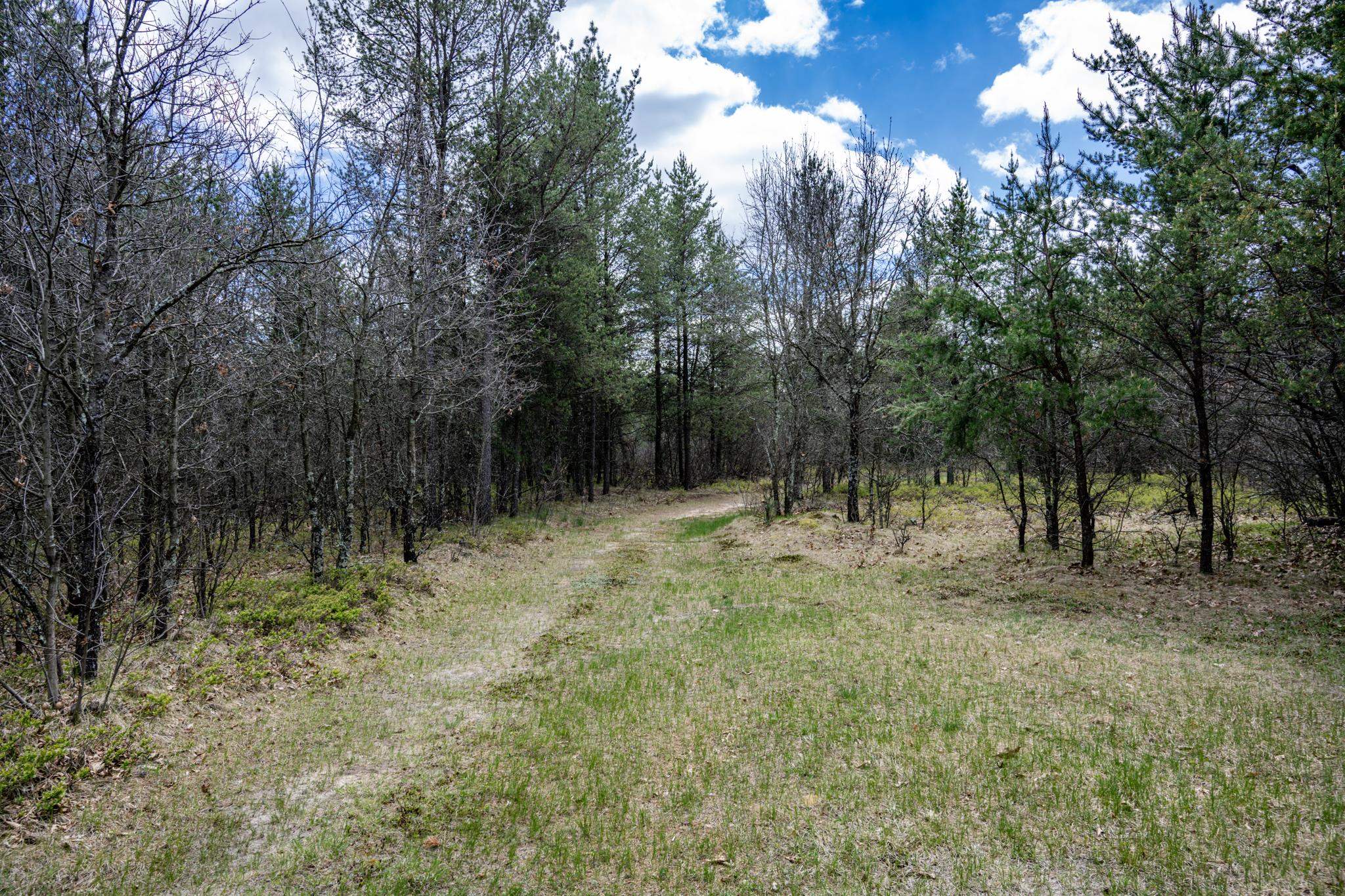 Lot 2 18th Necedah, WI 54646 - Photo 22 of 39