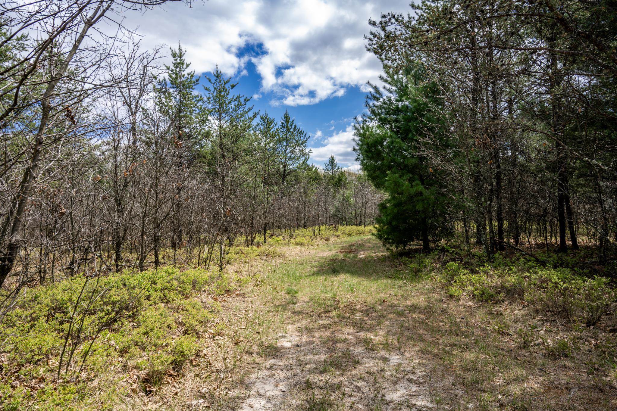 Lot 2 18th Necedah, WI 54646 - Photo 23 of 39