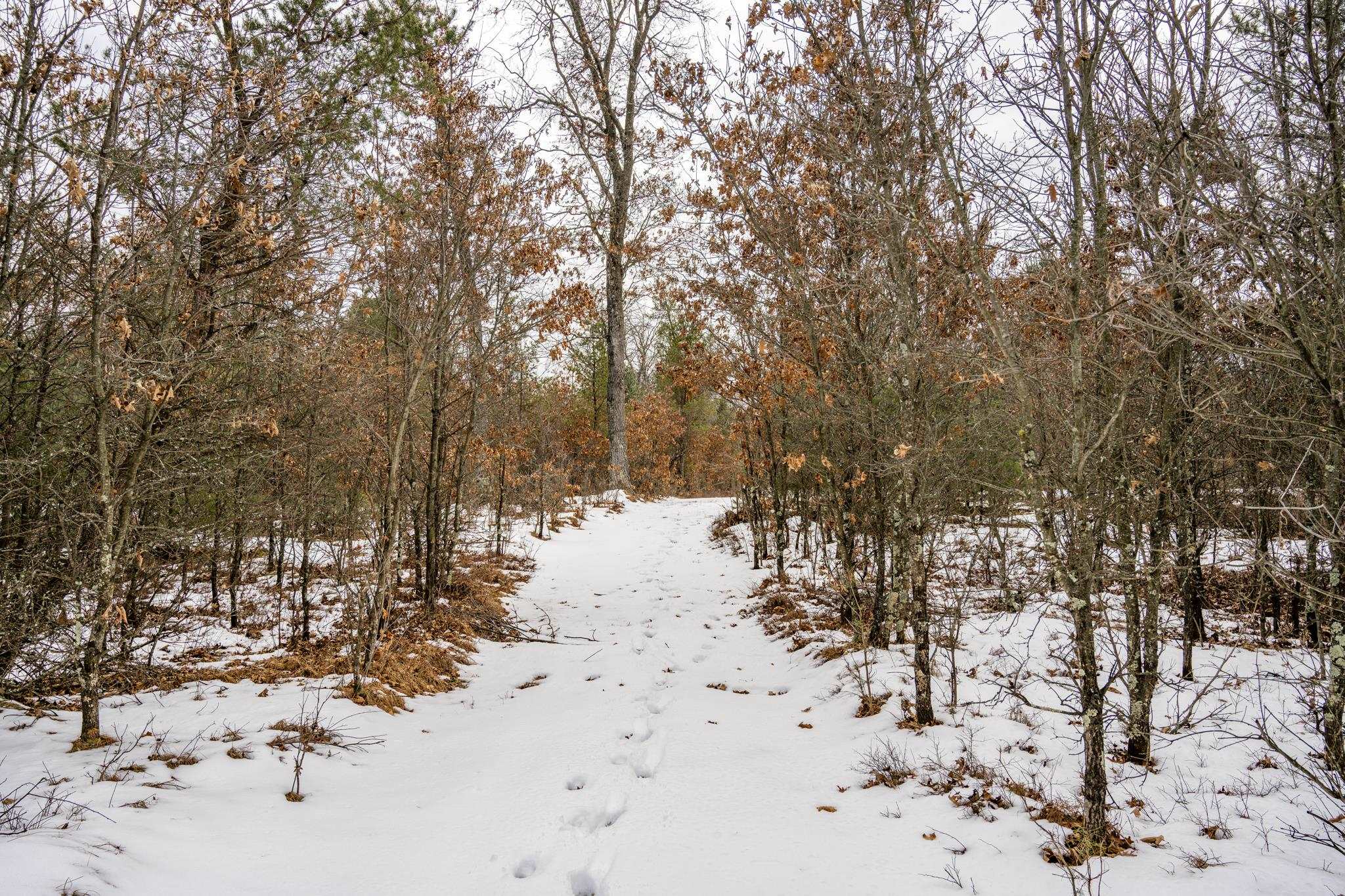 Lot 2 18th Necedah, WI 54646 - Photo 23 of 31