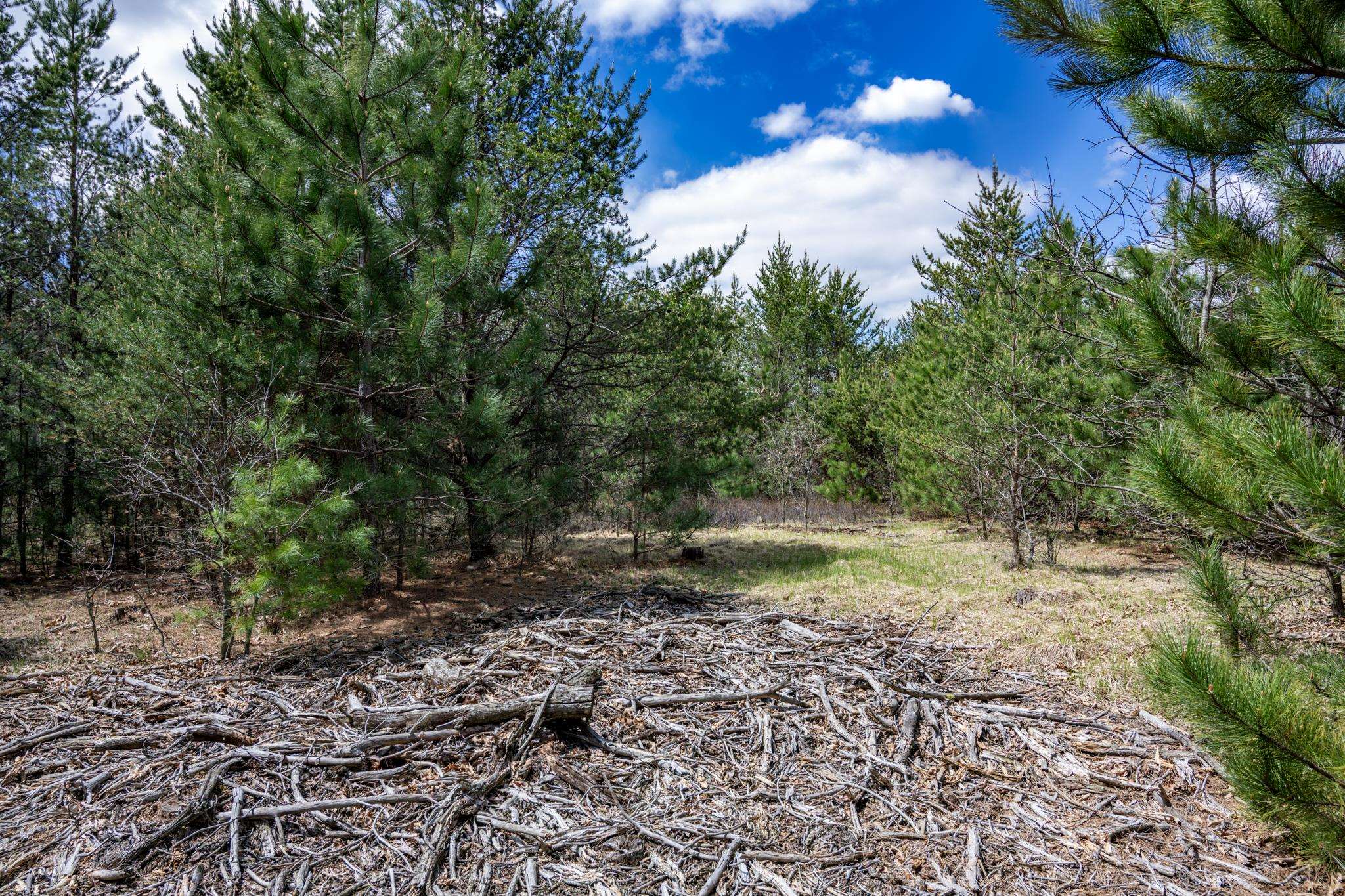 Lot 2 18th Necedah, WI 54646 - Photo 25 of 39