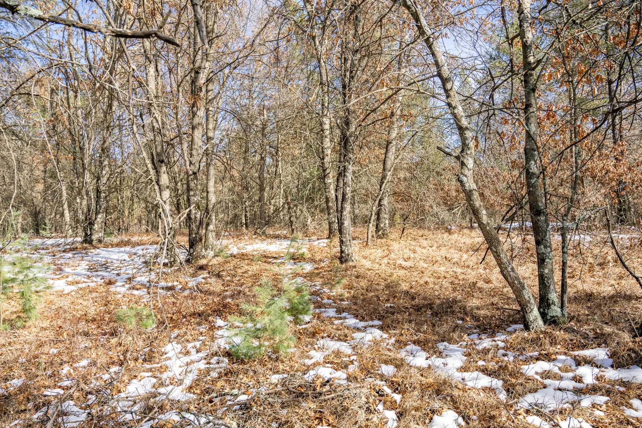 Lot 2 18th Necedah, WI 54646 - Photo 25 of 31