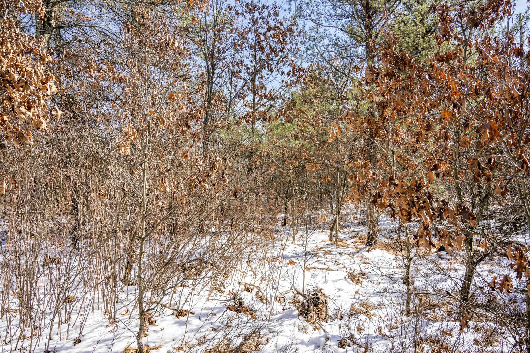 Lot 2 18th Necedah, WI 54646 - Photo 26 of 31