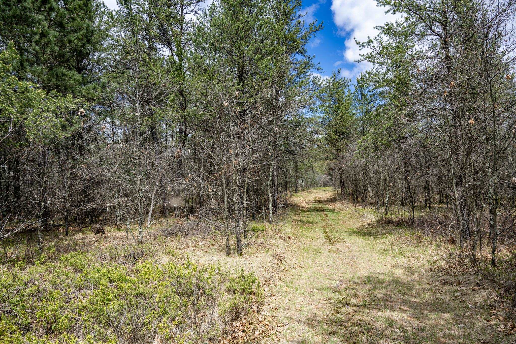 Lot 2 18th Necedah, WI 54646 - Photo 26 of 39