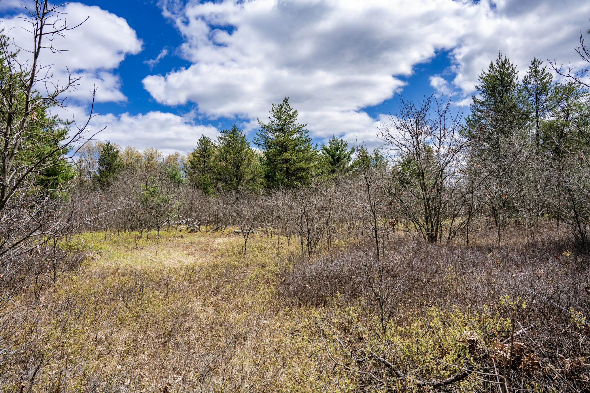 Lot 2 18th Necedah, WI 54646 - Photo 27 of 39