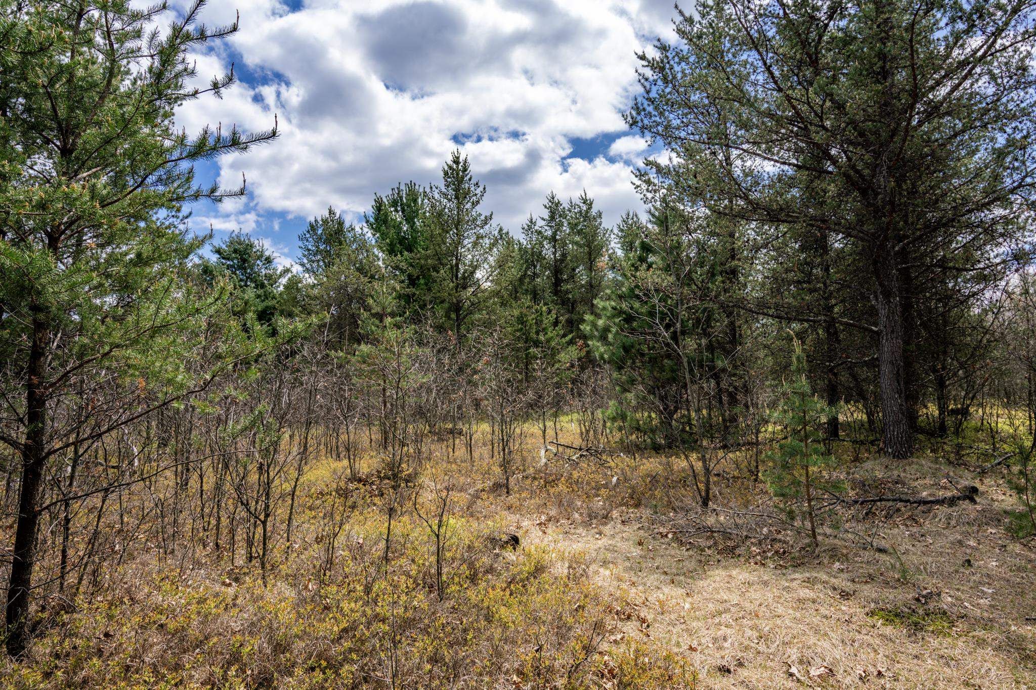 Lot 2 18th Necedah, WI 54646 - Photo 29 of 39