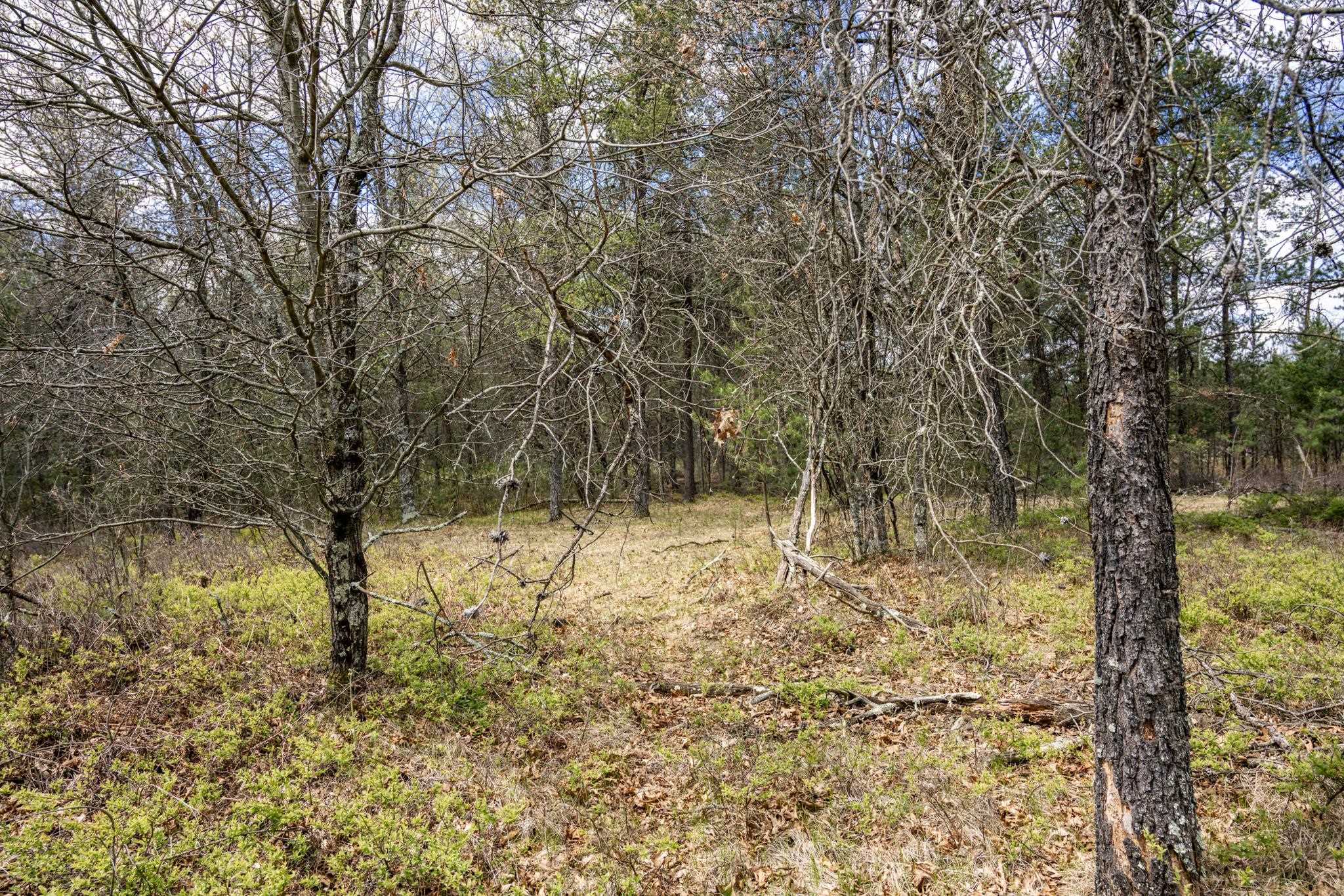 Lot 2 18th Necedah, WI 54646 - Photo 30 of 39