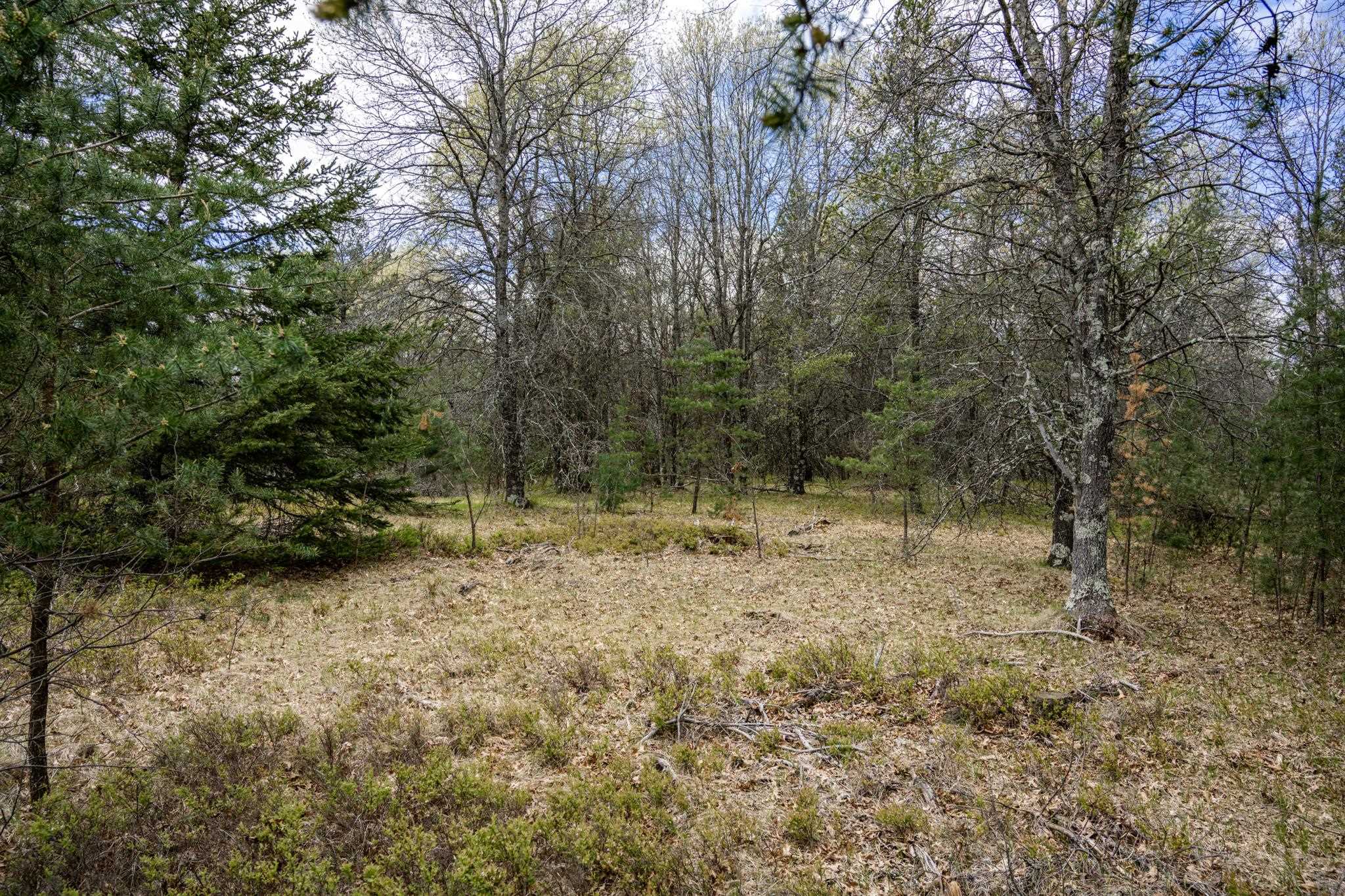 Lot 2 18th Necedah, WI 54646 - Photo 3 of 39
