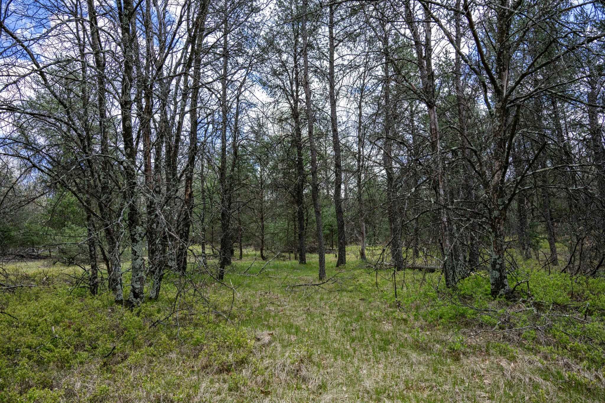 Lot 2 18th Necedah, WI 54646 - Photo 33 of 39