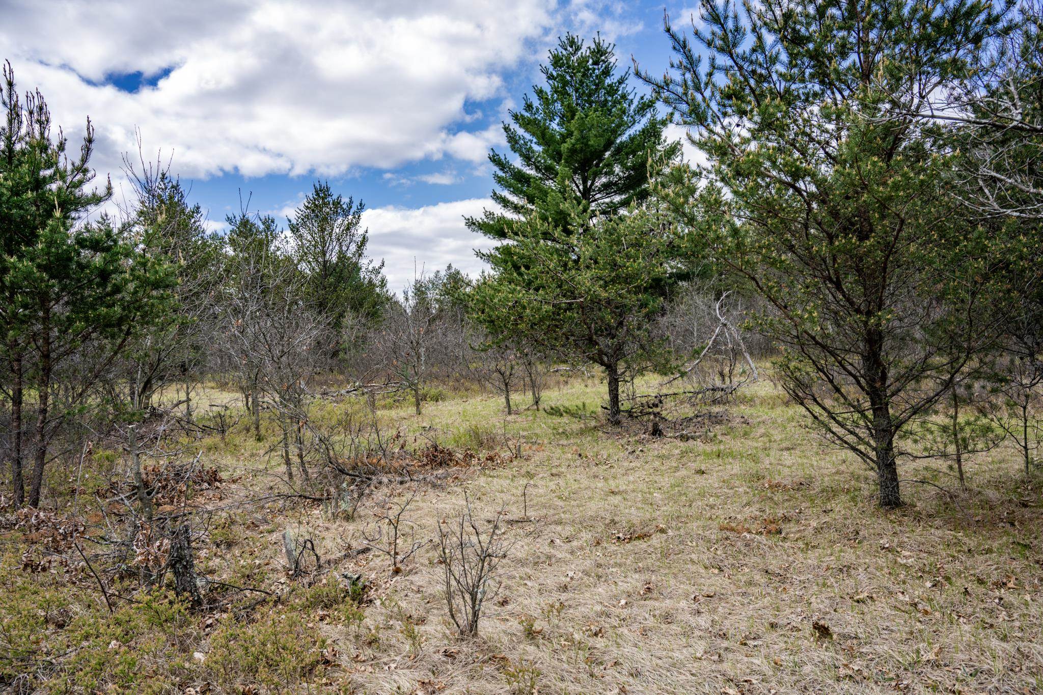 Lot 2 18th Necedah, WI 54646 - Photo 35 of 39
