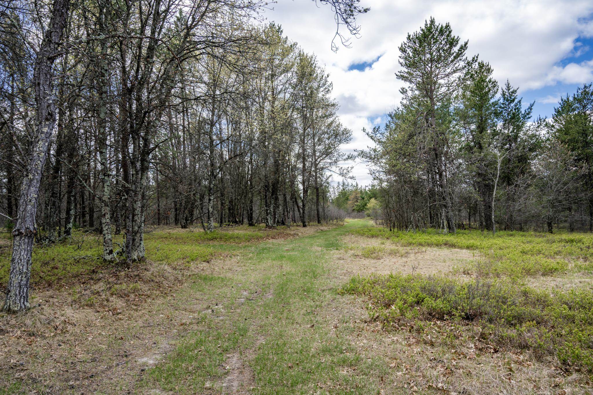 Lot 2 18th Necedah, WI 54646 - Photo 37 of 39
