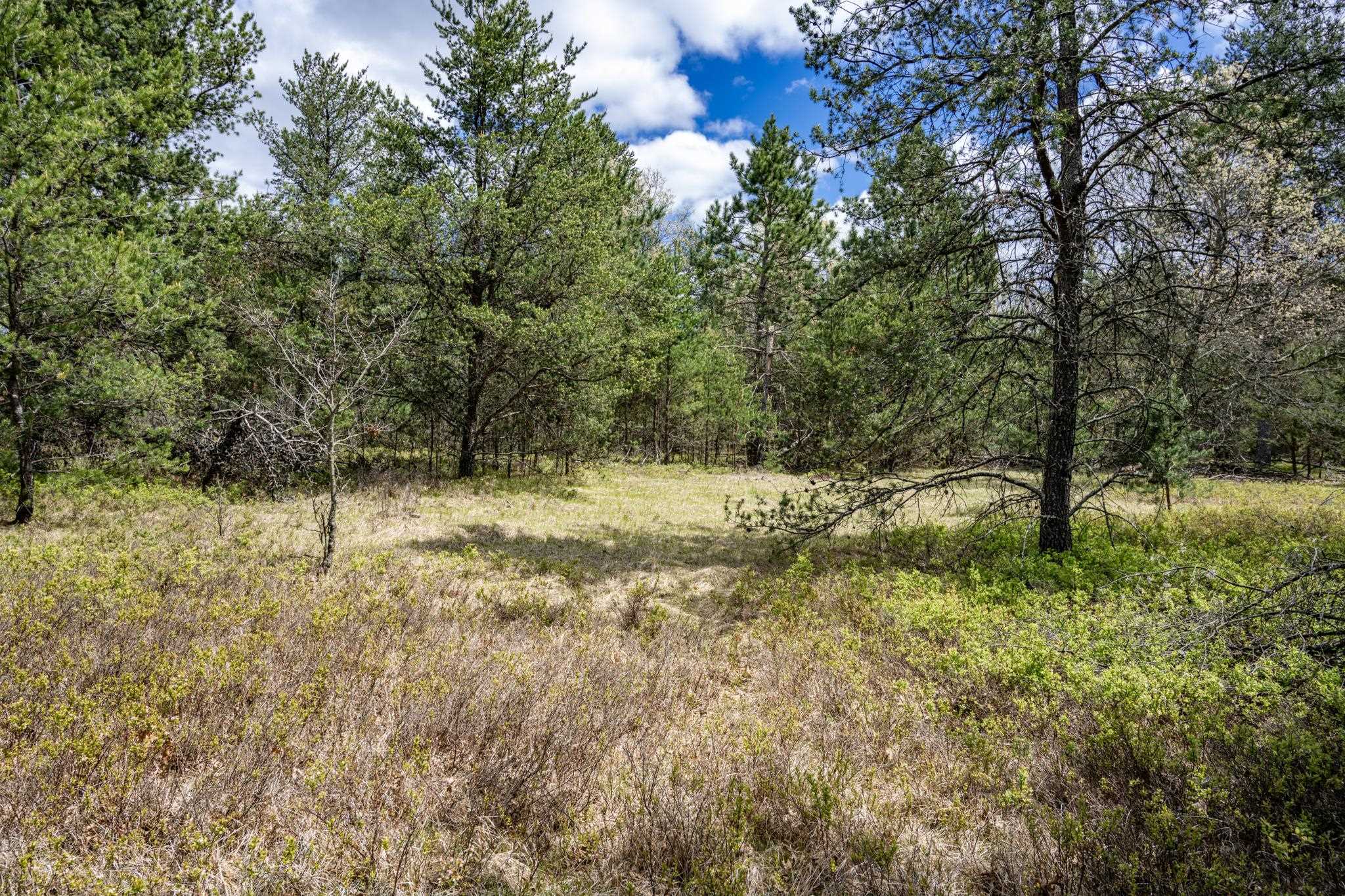 Lot 2 18th Necedah, WI 54646 - Photo 39 of 39