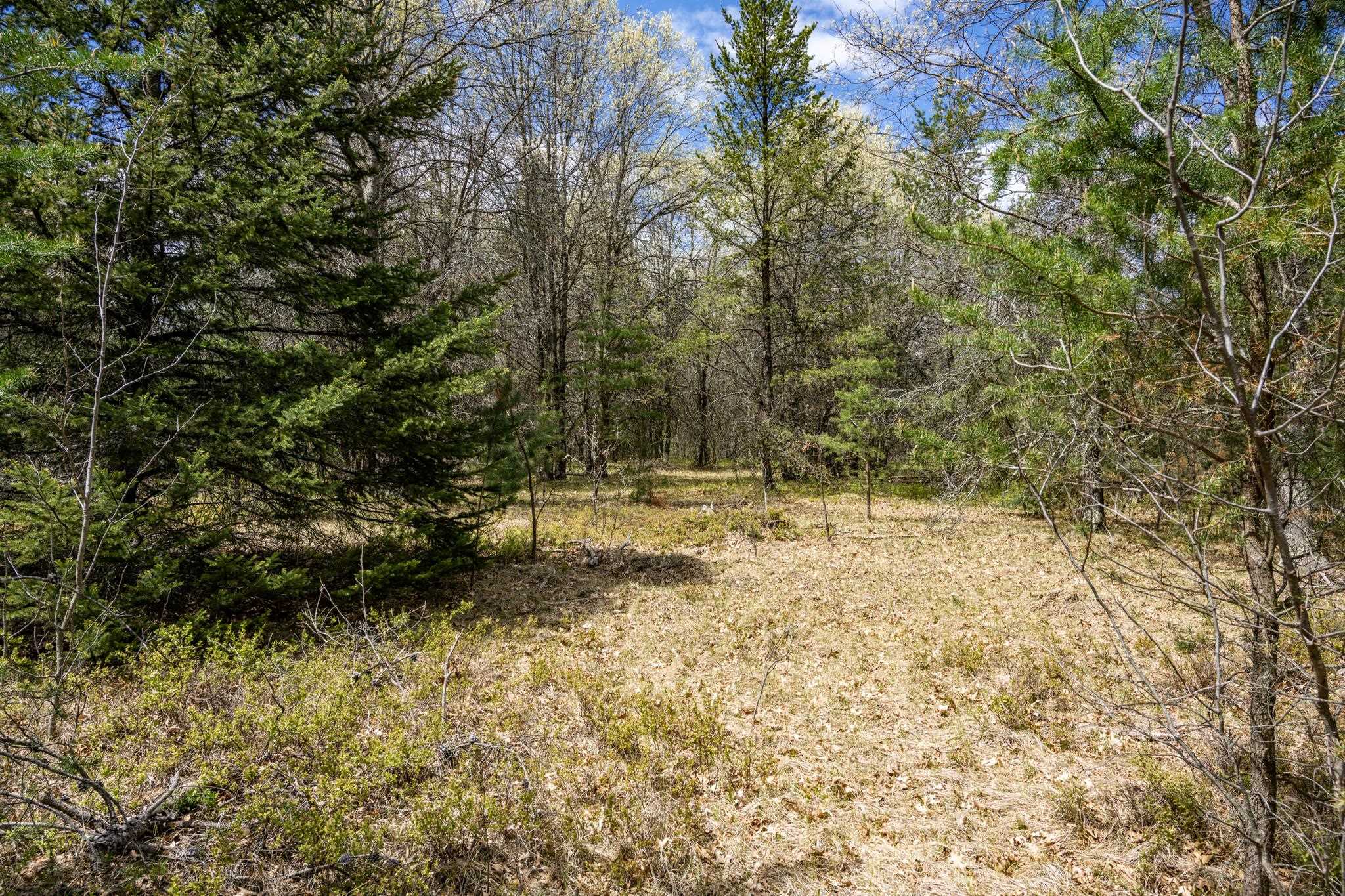 Lot 2 18th Necedah, WI 54646 - Photo 4 of 39