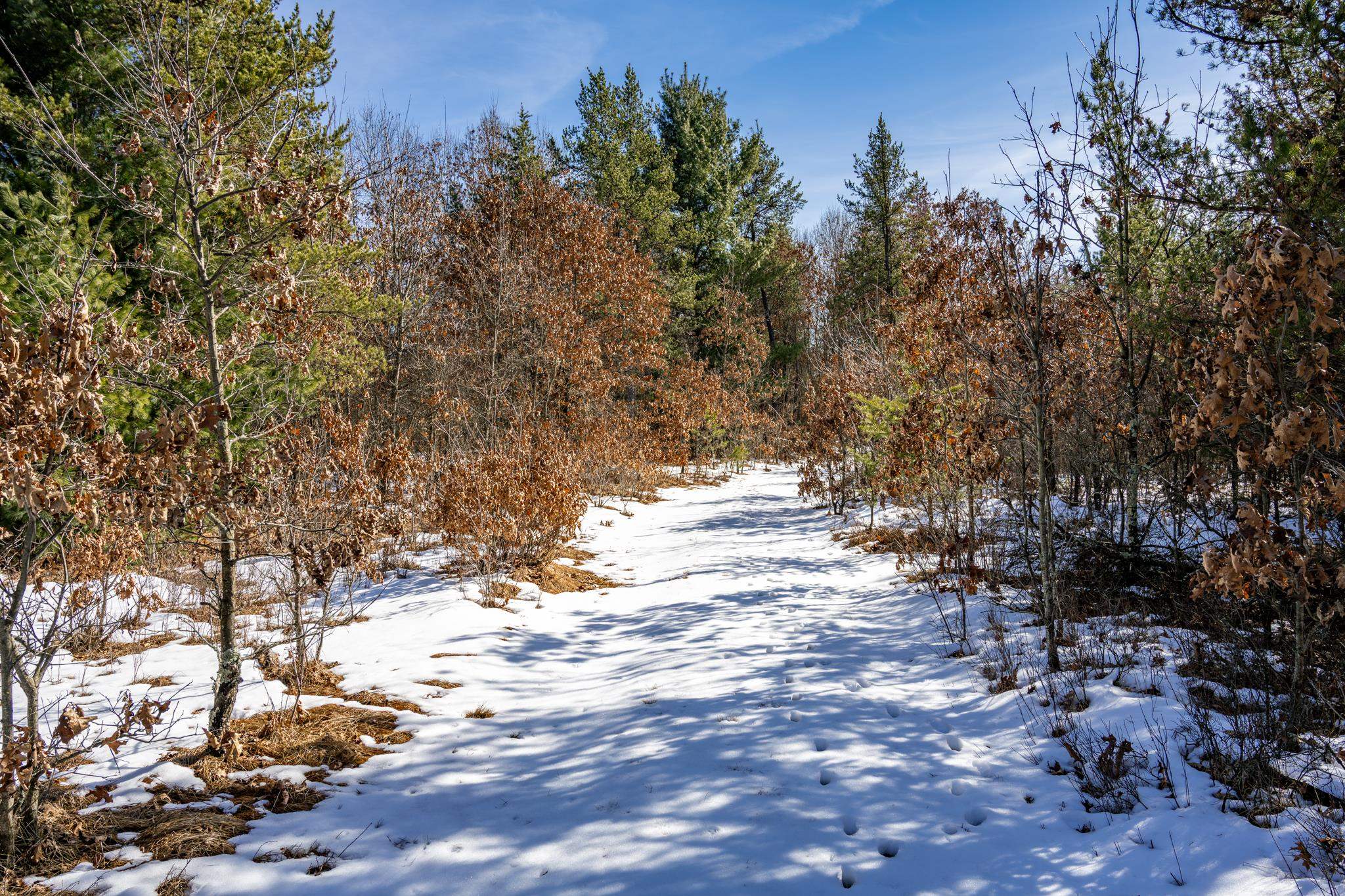 Lot 2 18th Necedah, WI 54646 - Photo 4 of 31