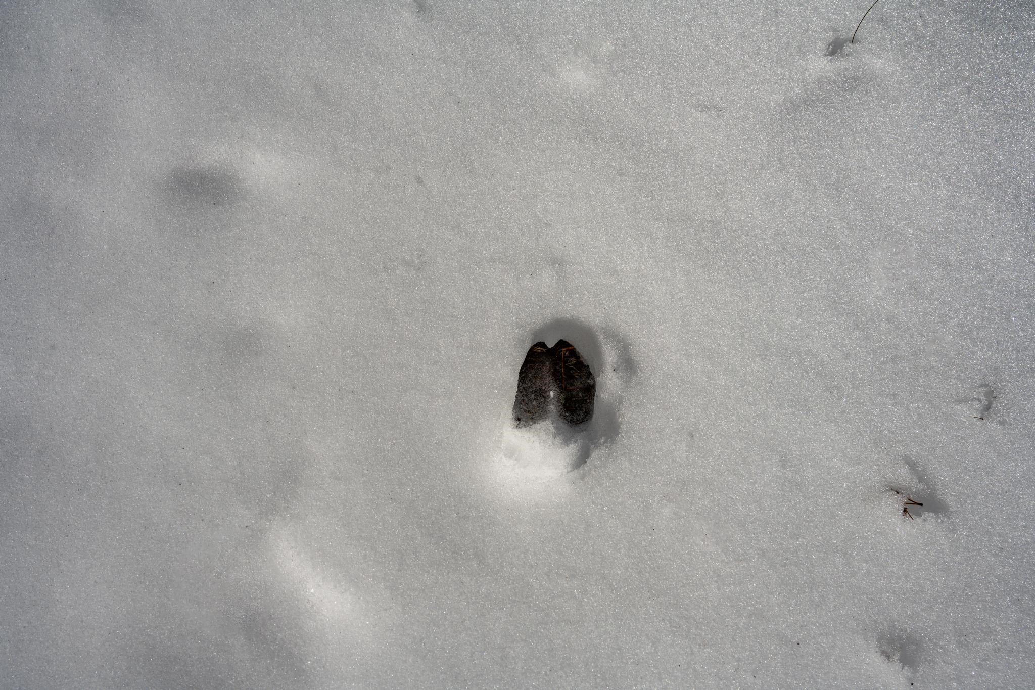 Lot 2 18th Necedah, WI 54646 - Photo 5 of 31