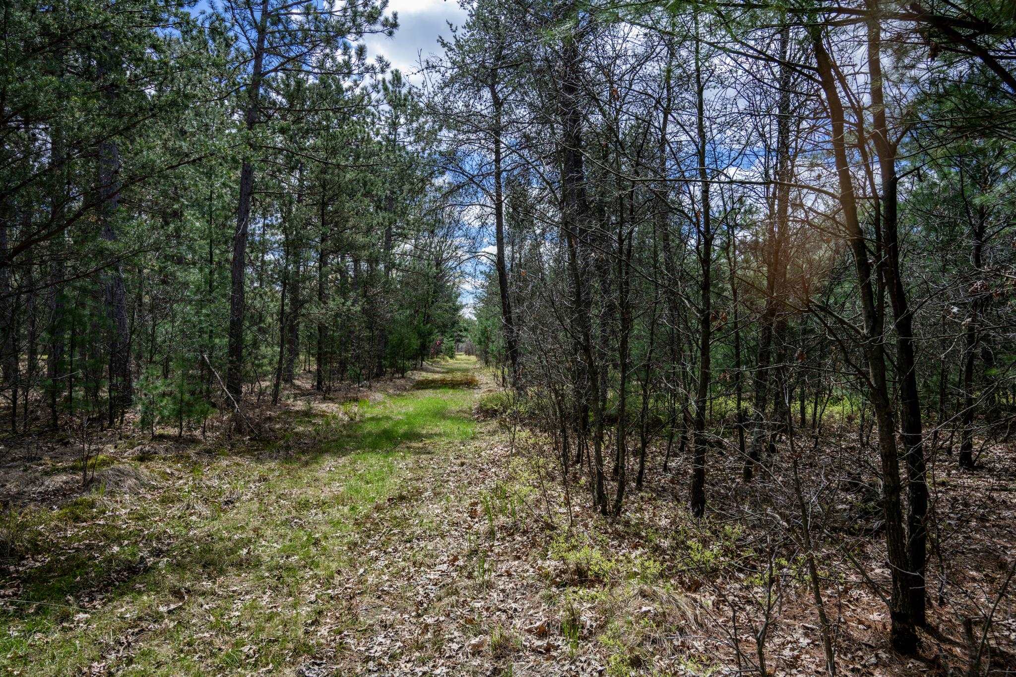 Lot 2 18th Necedah, WI 54646 - Photo 5 of 39