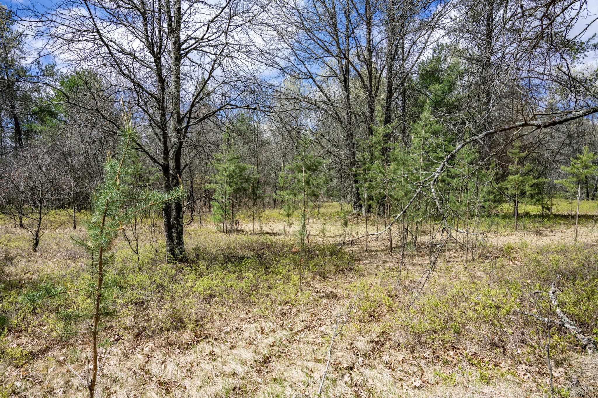 Lot 2 18th Necedah, WI 54646 - Photo 6 of 39