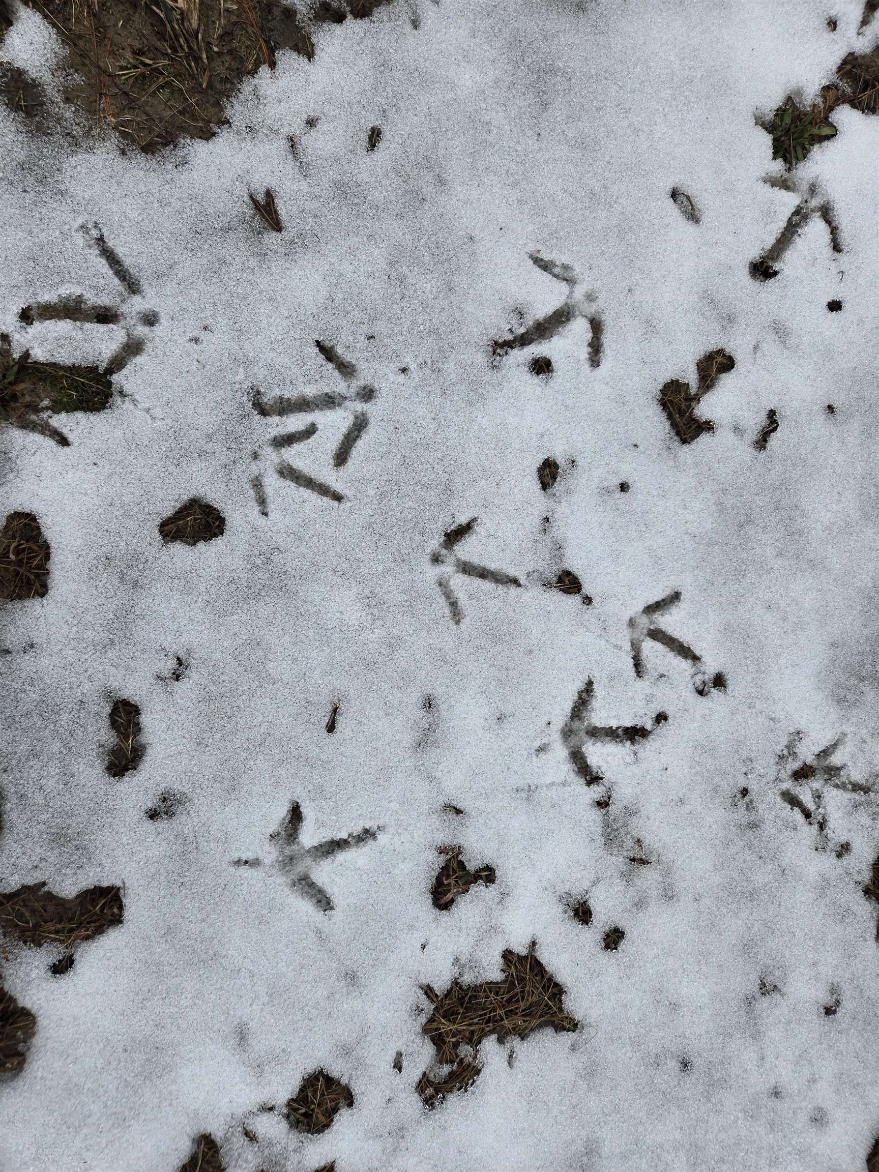 Lot 2 18th Necedah, WI 54646 - Photo 6 of 31