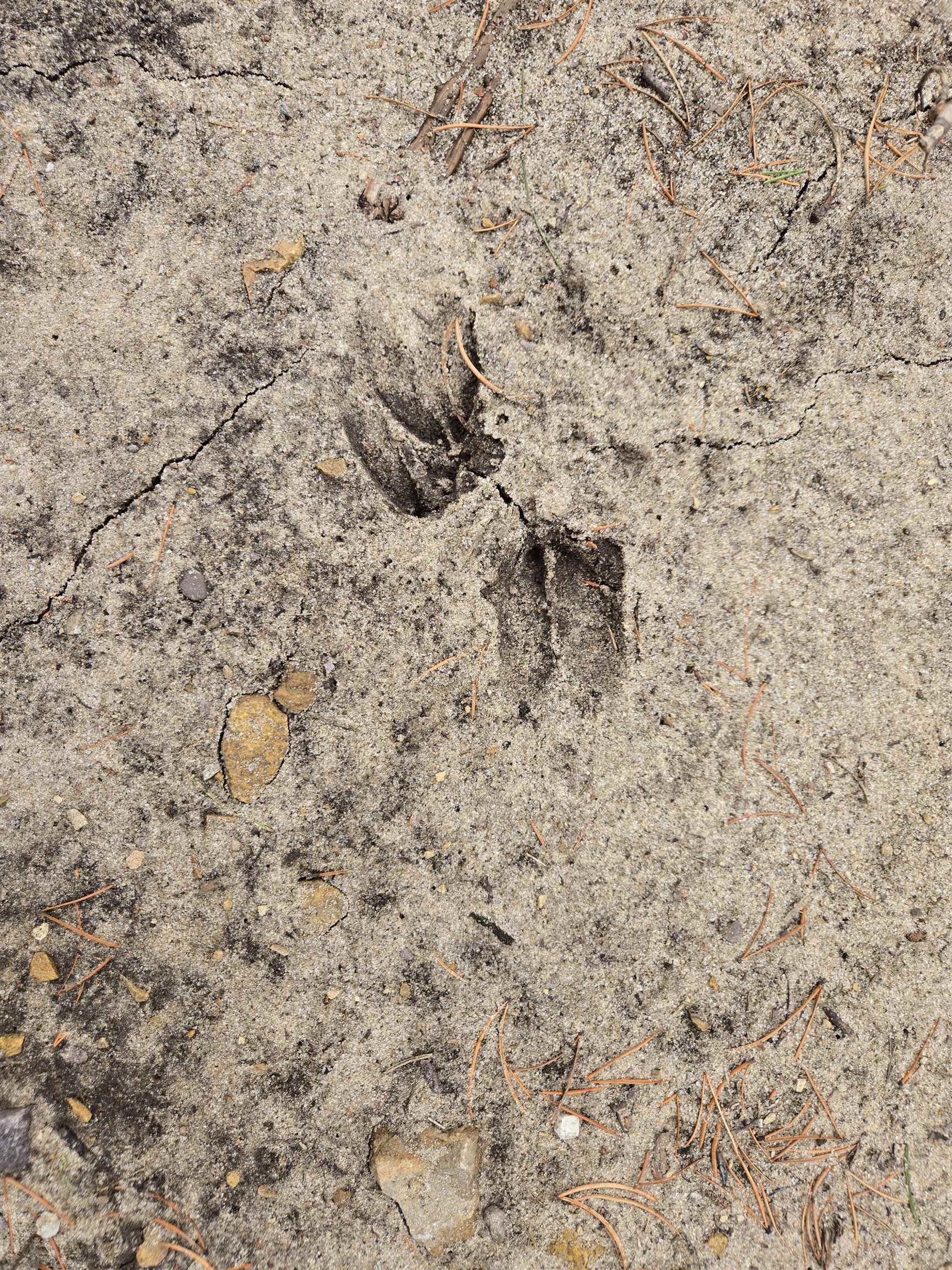 Lot 2 18th Necedah, WI 54646 - Photo 7 of 31