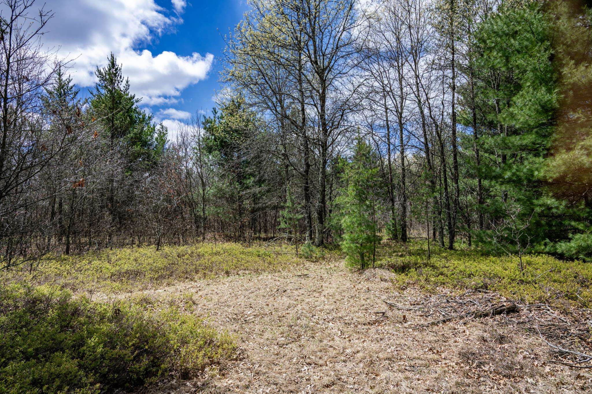 Lot 2 18th Necedah, WI 54646 - Photo 8 of 39