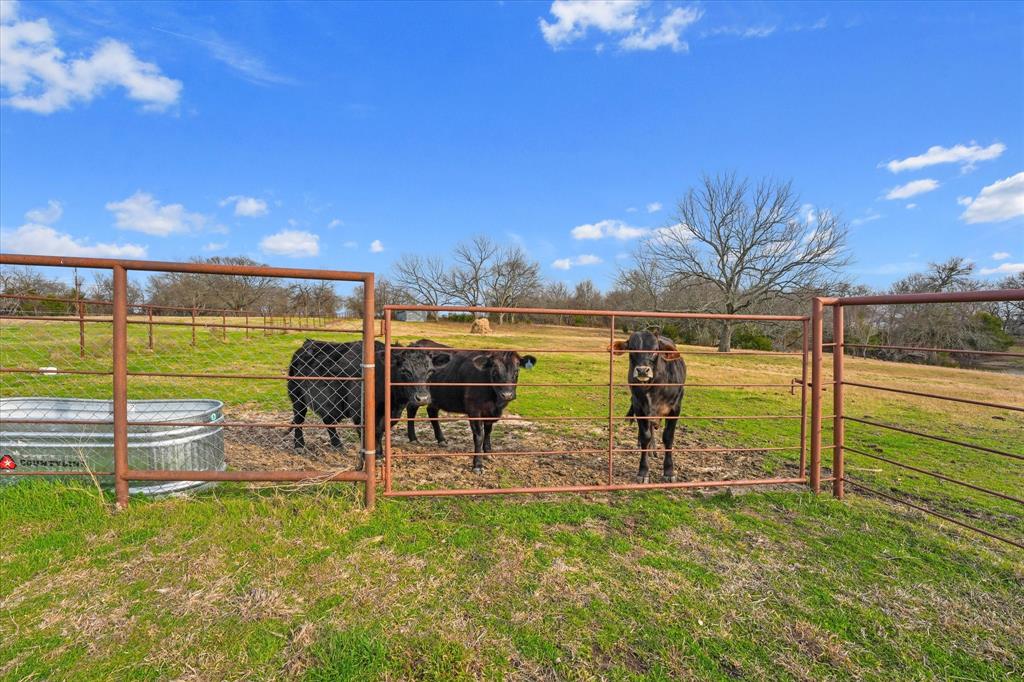 4633 Farm To Market 36 Celeste, TX 75423 - Photo 38 of 40
