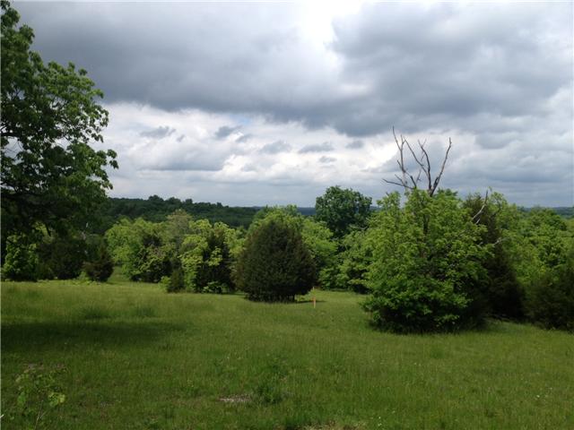 8 St Johns Road Lascassas, TN 37085 - Photo 1 of 1 Gallery Image 1