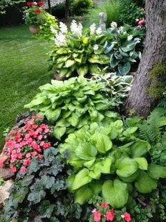 $1,100,000 | 4512 Iron Horse Drive, Leawood, KS 66224