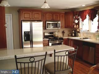 426 Kennerly Road Springfield, PA 19064 - Photo 4 of 6