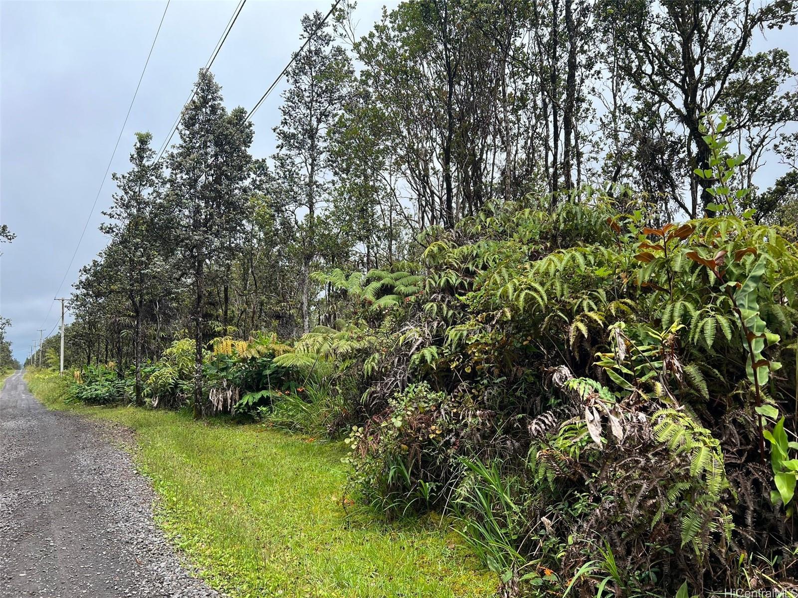 11-2697 Ohialani Road Volcano, HI 96785 - Photo 1 of 1 Gallery Image 1