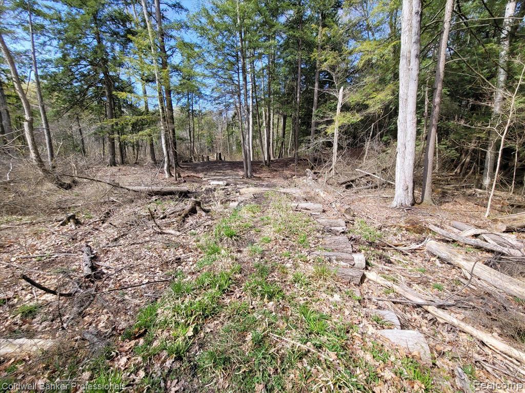 0 Conley Road Attica, MI 48412 - Photo 37 of 48 Gallery Image 37