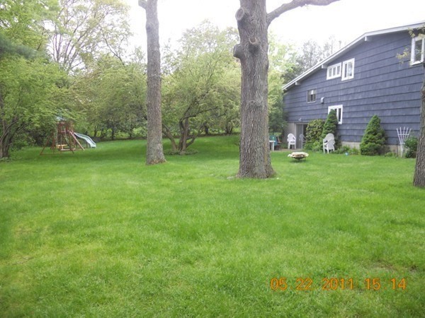 17 Tirrell Crescent Newton, MA 02467 - Photo 2 of 6 a backyard of a house with plants and large trees