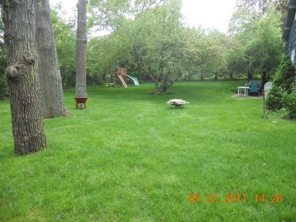 17 Tirrell Crescent Newton, MA 02467 - Photo 3 of 6 a view of a park with a tree