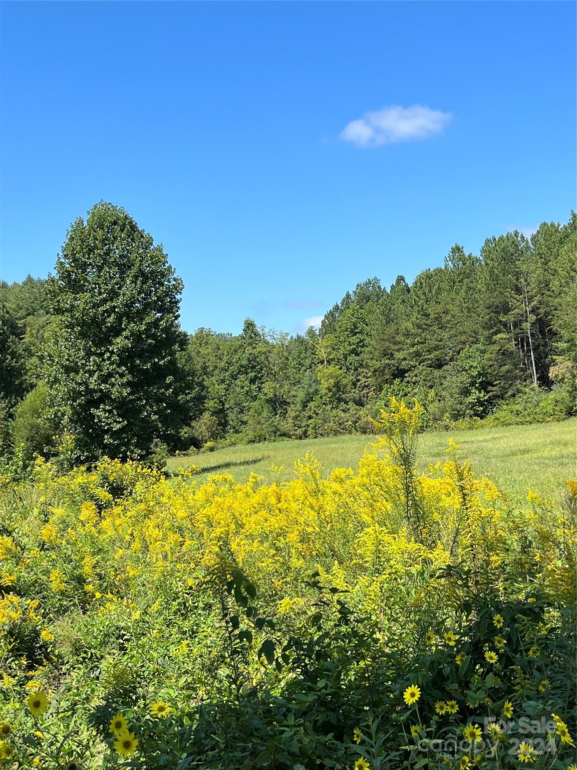 6034 Low Country Road Lenoir, NC 28645 - Photo 2 of 17 Gallery Image 2