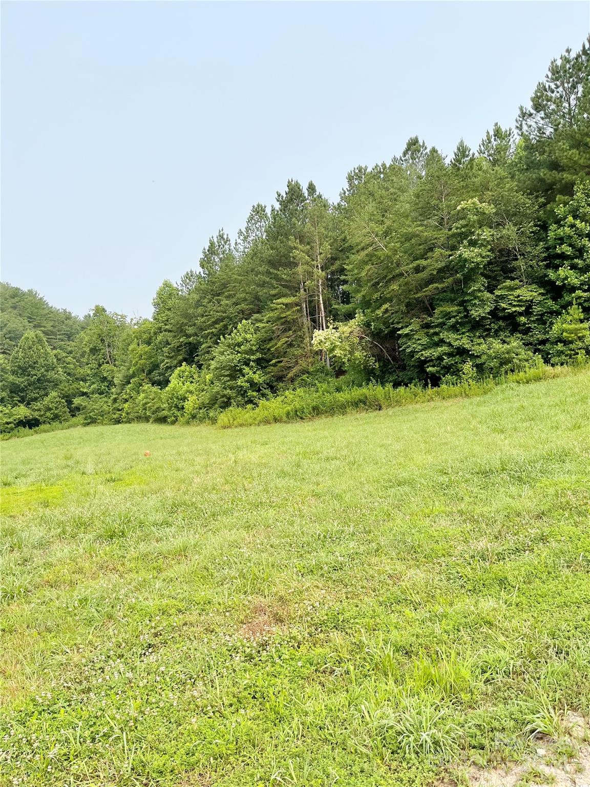 6034 Low Country Road Lenoir, NC 28645 - Photo 4 of 17 Gallery Image 4
